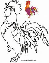 Coloring Rooster Chicken Pages sketch template