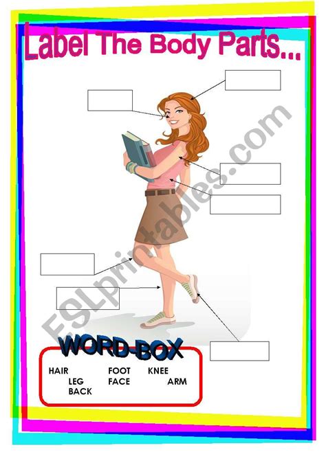 label body parts worksheet labels design ideas  body parts label human body anatomy