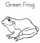 Frog Frosch Ausmalbilder Ausmalbild Clipartmag sketch template