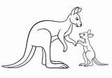 Kangaroos Kangourou Kangourous Kangaroo Coloriages Maman Famille sketch template