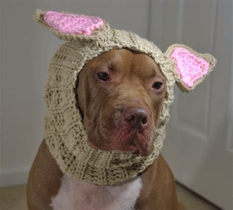 item  unavailable etsy dog snood crochet ear warmer ear