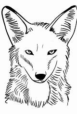 Coyote Colorare Kolorowanki Coloriage Coiote Coloriages Disegno Ausmalbilder Zeichentrick Cartonionline Kojote Dibujosanimados Animes sketch template