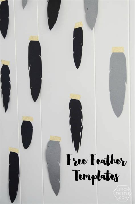 feather walls   downloadable feather templates lemon thistle