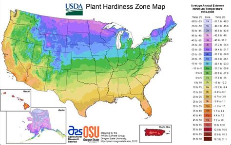New Usda Plant Hardiness Zone Map Released Terrapass