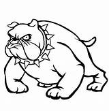 Pitbull Bulldogs Sheets Bulldog Coloringfolder Getcolorings sketch template