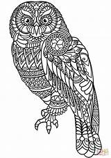 Zentangle Owl Coloring Pages Printable Supercoloring Animals Color Mandala Drawing Print Adults Colouring Animal Sheets Bird Printables Crafts Nature Choose sketch template