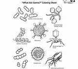 Bacteria Drawing Germ Kids Coloring Getdrawings sketch template