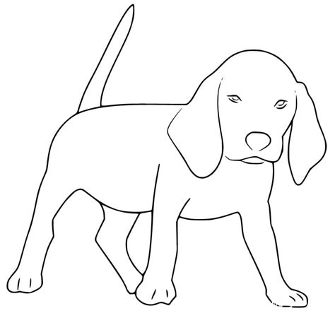beagle coloring pages  printable coloring pages  kids