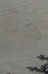 Burning Pyrography Seahorse Entwined sketch template