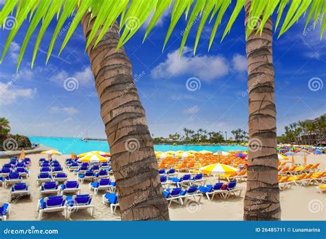 anfi del mar anfidelmar beach  gran canaria stock image image  canaries foreshore