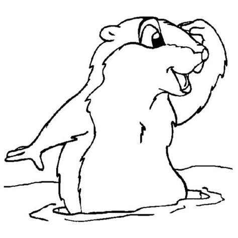 happy groundhog day coloring page coloring pages groundhog day