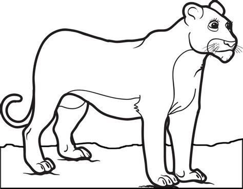 lioness coloring   designlooter