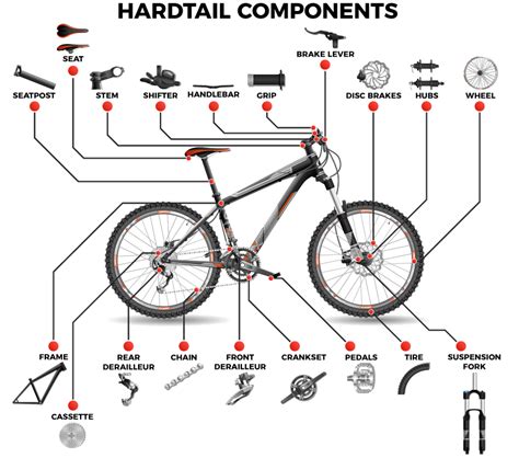 parts  mountain bike diagram biker