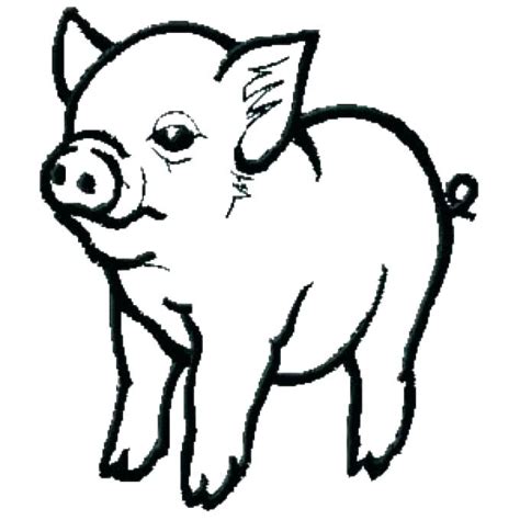 coloring pages  baby pigs coloring walls