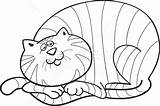 Fat Cat Coloring Template Pages sketch template