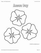 Anzac Template Poppy Poppies Coloring Color Flower Colouring Pages Sheets Printable Memorial Activities Remembrance Veterans Kids Bigactivities Flowers School sketch template