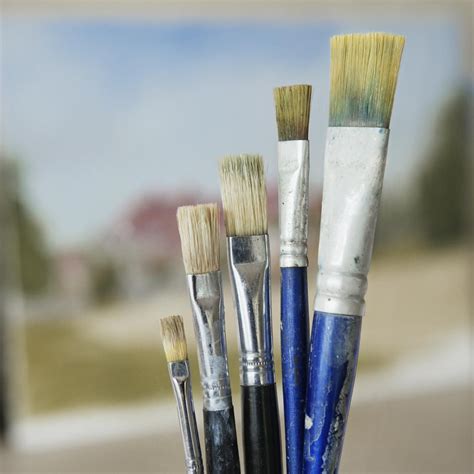painting brush hairs  bristles