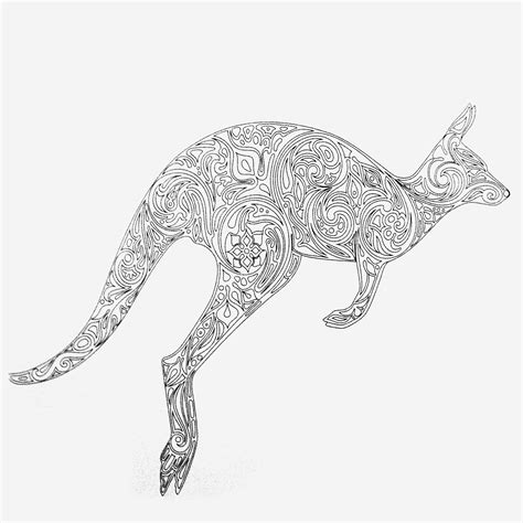 kangaroo coloring page   file