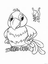 Omalovánky Parrot Butterfly Papoušek Omalovánka Coloring Creative Cz Omalovanky Pages Cartoon Vytisknutí Pro A4 Categories Pinu Zdroj sketch template