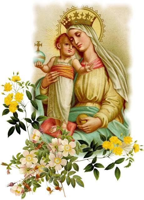1000 images about nossa senhora on pinterest our lady of sorrows blessed virgin mary and the