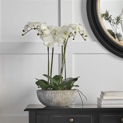 Large White Orchid In Stone Style Bowl