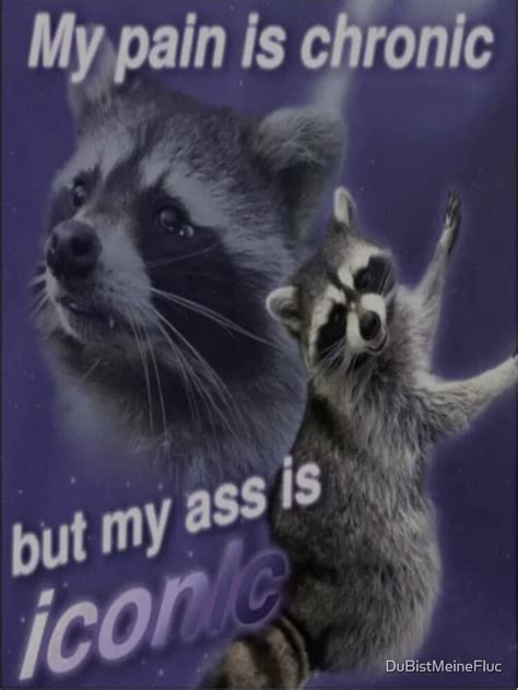 pain  chronic   ass  iconic funny raccoon quote sticker  sale