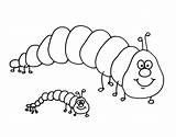 Chenille Caterpillar Hungry Colorier Pratique Ko sketch template