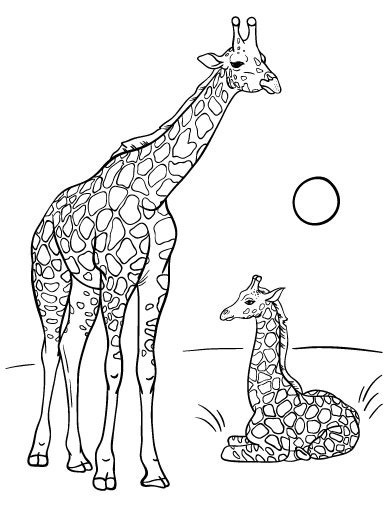 printable giraffe coloring page     http