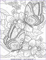 Coloring Color Number Books Pages Butterfly Adults Adult Awesome Flower Butterflies Deta Amazing Numbers sketch template
