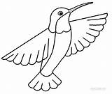 Hummingbird Coloring Pages Printable Kids sketch template