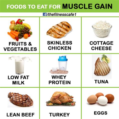food  weight loss muscle gain metabolism fitness