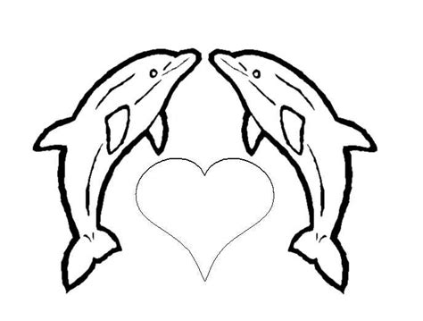 dolphins coloring pages  print dolphins kids coloring pages