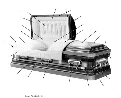 parts   casket diagram quizlet