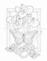 Coloring Pages Jody Bergsma Bing Animal Indulgy sketch template