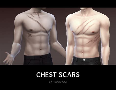 chest scar maxis match base game  mesh teen red ear cat