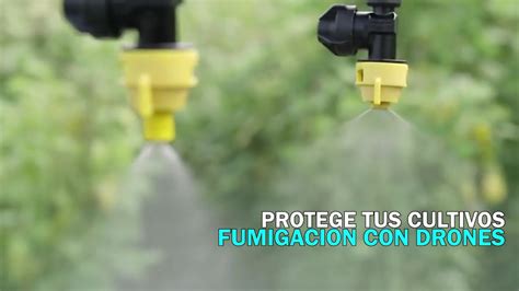 fumigacion  drones cuida tus cultivos  drones youtube