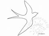 Swallow Coloringpage Swallows sketch template