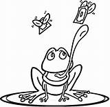 Coloring Lily Pad Clipart Library Frog Printable sketch template