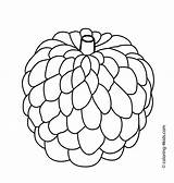 Apple Custard Clipart Drawing Atis Coloring Fruits Fruit Pages Kids Printable Cliparts Berries Colouring Outline Clip Vegetables Line Books Clipground sketch template