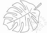 Tropical Leaf Jungle Leaves Coloring Pages Printable Shape Drawing Template Color Palm Print Molde Getcolorings Branch Getdrawings Paintingvalley Choose Board sketch template