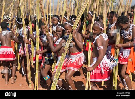 swazi mädchen mit schilf parade in umhlanga reed dance festival