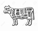 Cow Butcher Meat sketch template
