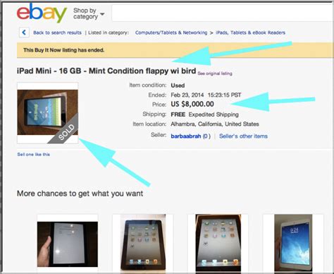 amazingly  ipad mini  flappy bird sells    ebay recaply copy