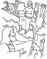 Zacchaeus Coloring Jesus Pages Bible Tree Crafts Story Preschool School Craft Kids Activities Zaccheus Para Sunday Sheets Zaqueo Clipart Zacheus sketch template