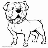 Bulldog English Coloring Pages Georgia sketch template