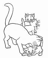 Katze Mutter Katzen Babys Ausmalbilder sketch template