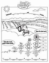 Colouring Pages Coloring Colour Getdrawings Watershed Survivor Seed Sheet sketch template