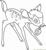 Thumper Bambi Coloringpages101 sketch template