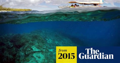 Great Barrier Reef Australia Says Unesco Decision Shows It Is A World