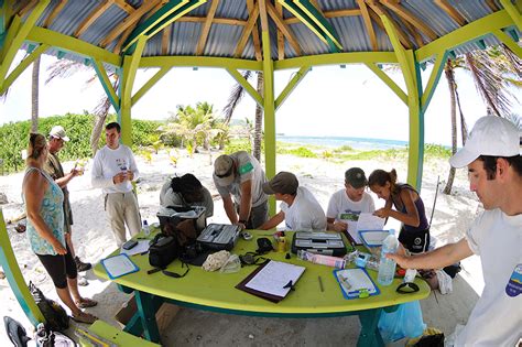 delicatissima assessment on la désirade iguana specialist group